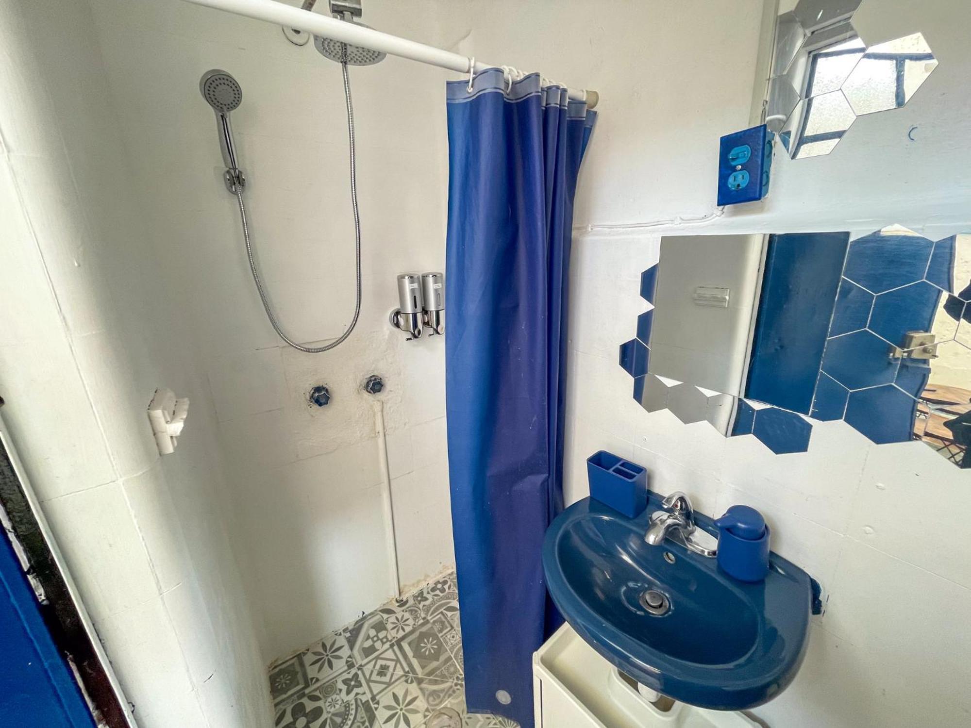 Charming 2br Vintage Terrace In Condesa Mexico City